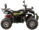 Квадроцикл XTR FARMER PRO 150 KVD-291 фото 6