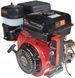 Двигатель Vitals GE 17.0-25ke 165175 фото 3
