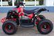 Электроквадроцикл FORTE ATV 1000RB ELK-007 фото 8
