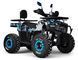 Квадроцикл SPARK SP125-12 (2026) KVD-409 фото 1