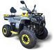 Квадроцикл MIKILON WOLF 200 PRO KVD-263 фото 1