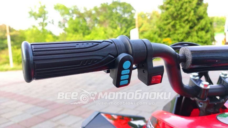 Электроквадроцикл FORTE ATV 1000RB ELK-007 фото