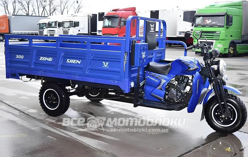 Трицикл вантажний ZONGSHEN ZS300ZH TRI-012 фото
