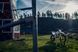 Пітбайк HUSQVARNA TC 85 19/16 PIT-024 фото 10