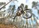 Мотоцикл HUSQVARNA TE 300I MOT-248 фото 13