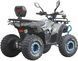 Квадроцикл SPARK SP125-8 (2026) KVD-410 фото 7