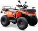 Квадроцикл Rato ATV200 KVD-156 фото 1