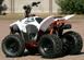 Квадроцикл Skybike KAYO AY-70 KVD-056 фото 8
