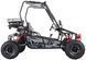 Баггі ASIX Buggy 125 см3 BAG-051 фото 8