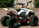 Квадроцикл Skybike KAYO AY-70 KVD-056 фото 7