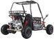 Баггі ASIX Buggy 125 см3 BAG-051 фото 7