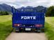 Трицикл грузовой FORTE ATV300ZH-T TRI-014 фото 5