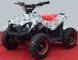 Электроквадроцикл Apollo King-Kong 800W ELK-009 фото 2