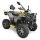 Квадроцикл MIKILON HARDY 200 MAX PRO (U38) KVD-265 фото 1