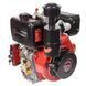 Двигатель Vitals DM 10.0kne 165160 фото 3