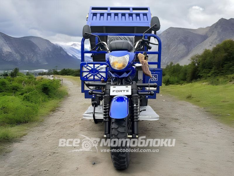 Трицикл грузовой FORTE ATV300ZH-T TRI-014 фото