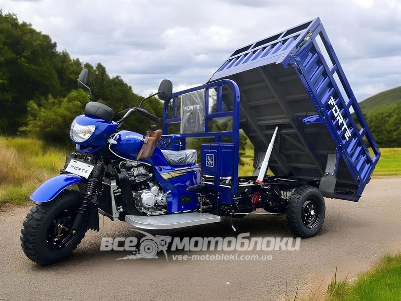 Трицикл грузовой FORTE ATV300ZH-T TRI-014 фото