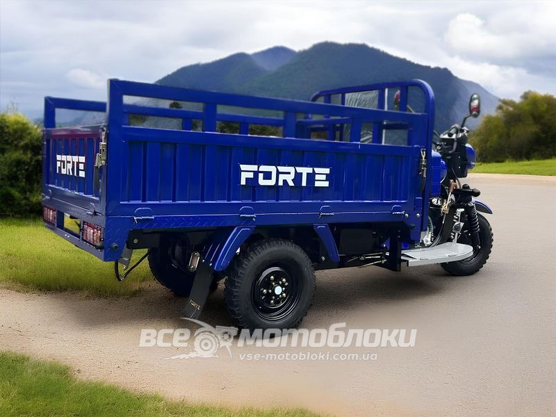 Трицикл грузовой FORTE ATV300ZH-T TRI-014 фото