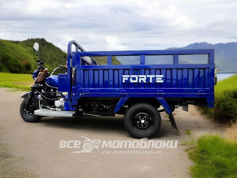Трицикл грузовой FORTE ATV300ZH-T TRI-014 фото