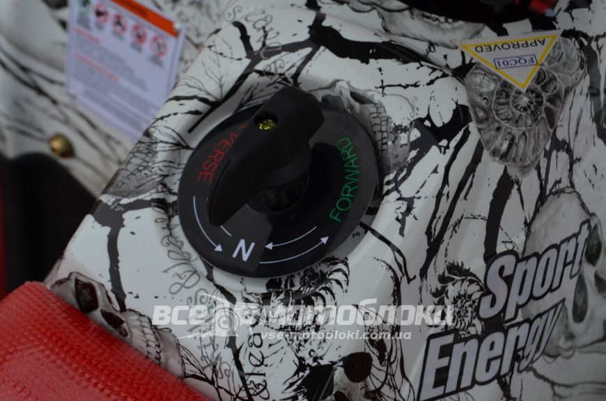Электроквадроцикл Apollo King-Kong 800W ELK-009 фото