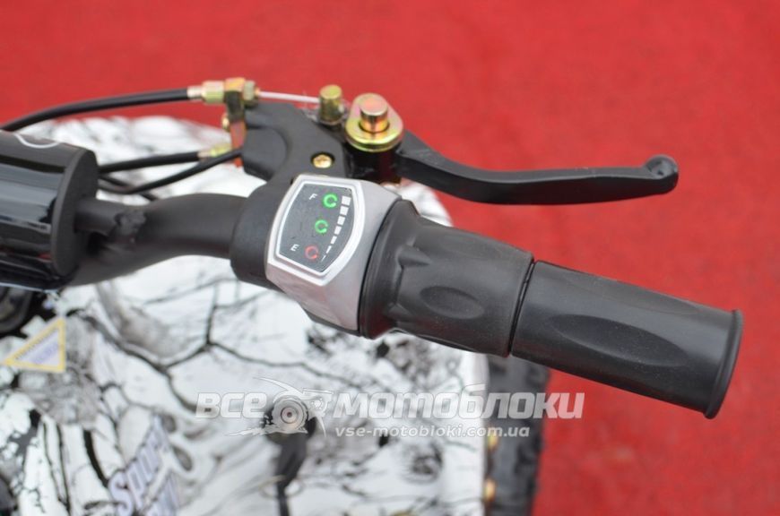 Электроквадроцикл Apollo King-Kong 800W ELK-009 фото