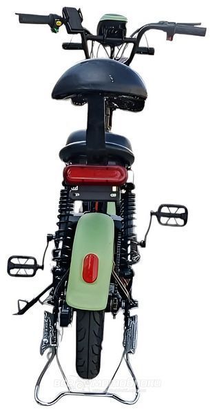 Електроскутер FORTE LUCKY WS-500 ELS-134 фото