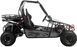 Баггі ASIX Buggy 200 см3 BAG-052 фото 7