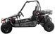 Баггі ASIX Buggy 200 см3 BAG-052 фото 4