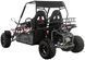 Баггі ASIX Buggy 200 см3 BAG-052 фото 5