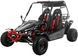Баггі ASIX Buggy 200 см3 BAG-052 фото 3
