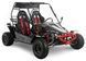 Баггі ASIX Buggy 200 см3 BAG-052 фото 1