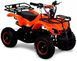 Квадроцикл HAMER BRUTE 65CC KVD-107 фото 1