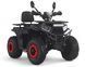 Квадроцикл FORTE ATV125G KVD-208 фото 1