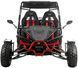 Баггі ASIX Buggy 200 см3 BAG-052 фото 2