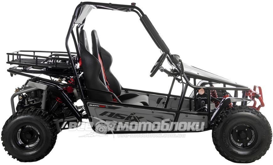Баггі ASIX Buggy 200 см3 BAG-052 фото