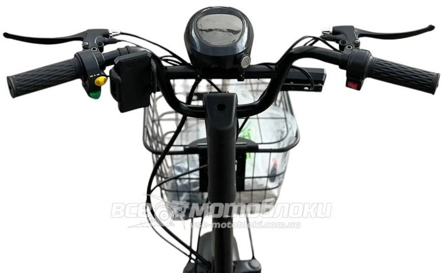 Електроскутер FORTE LUCKY WS-350 ELS-133 фото