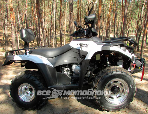 Квадроцикл LINHAI LH300ATV-D KVD-058 фото