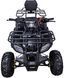 Квадроцикл SPARK BUG 110 KVD-413 фото 3