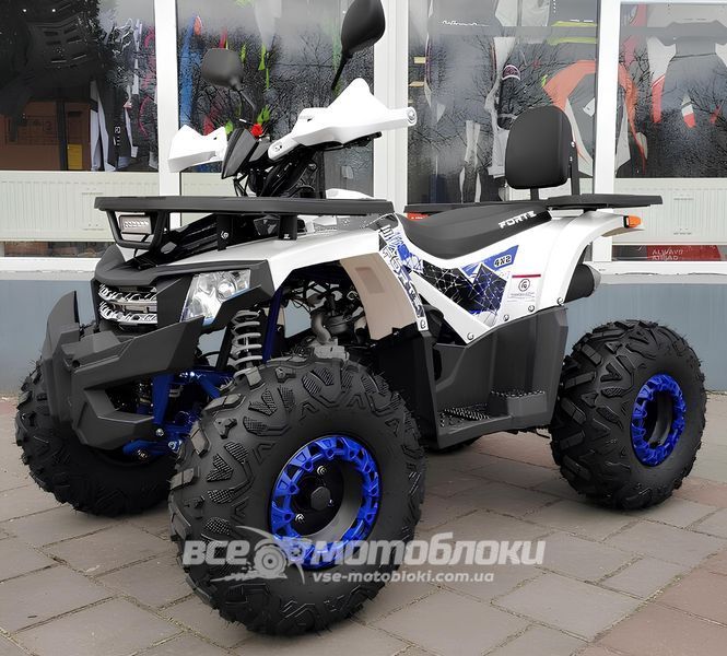 Квадроцикл FORTE ATV125F KVD-209 фото