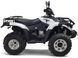 Квадроцикл LINHAI LH300ATV-D KVD-058 фото 2