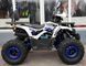 Квадроцикл FORTE ATV125F KVD-209 фото 3