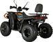 Квадроцикл FORTE AFC200L PRO KVD-366 фото 4
