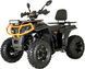 Квадроцикл FORTE AFC200L PRO KVD-366 фото 3