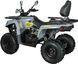 Квадроцикл MIKILON HAMMER 250L (U38) Long Base KVD-371 фото 3