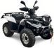 Квадроцикл LINHAI LH300ATV-D KVD-058 фото 1