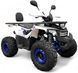 Квадроцикл FORTE ATV125F KVD-209 фото 1