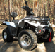 Квадроцикл LINHAI LH300ATV-D KVD-058 фото 5