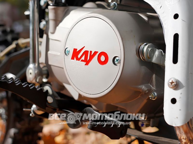 Питбайк Skybike KAYO TD125 (14-12) PIT-064 фото