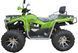 Квадроцикл FORSAGE MOTO 250 KVD-355 фото 2