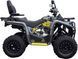 Квадроцикл MIKILON HARDY 200 MAX (U38) Long Base KVD-372 фото 8